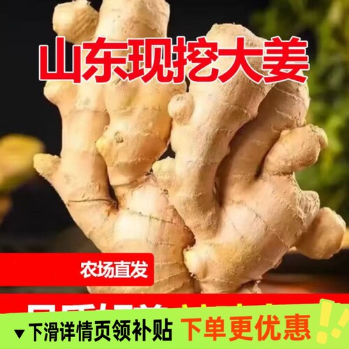 正宗山东生姜老姜大姜新鲜农家黄姜干姜姜块农场当季食用泡脚风干