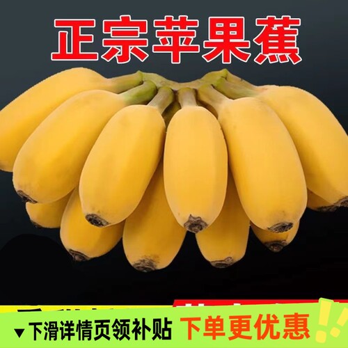 广西苹果蕉青皮蕉发货