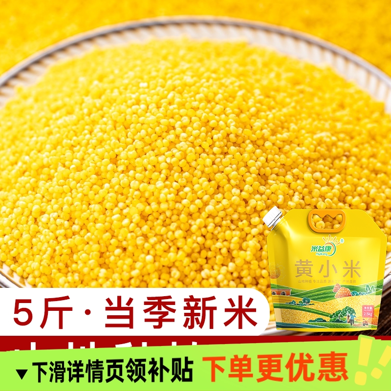 当季新鲜米陕北米脂油小米黄小米宝宝米月子米煮粥杂粮香糯饱满