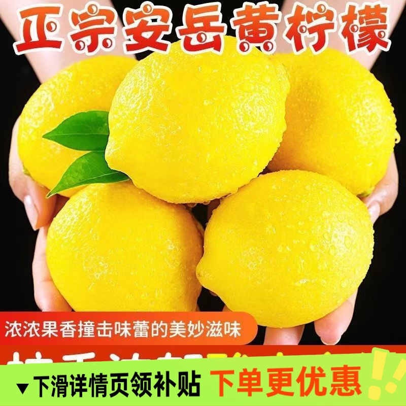 出口级新果安岳黄柠檬一二级四川新鲜水果皮薄整箱商用奶茶店水果