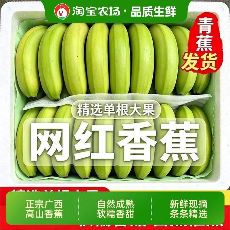 绿皮香蕉广西产地直发新鲜水果软糯富含维生素营养农场自然熟正宗
