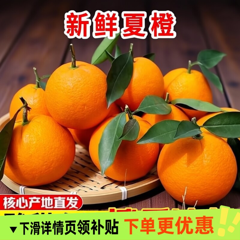 秭归夏橙脐橙子湖北手剥橙果冻整箱橙子水果新鲜应当季大果榨汁图片