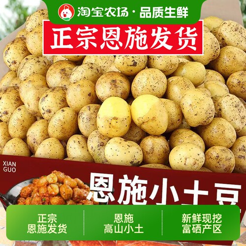 新鲜恩施小土豆现挖正宗黄心土豆当季蔬菜整箱迷你马铃薯洋芋富硒