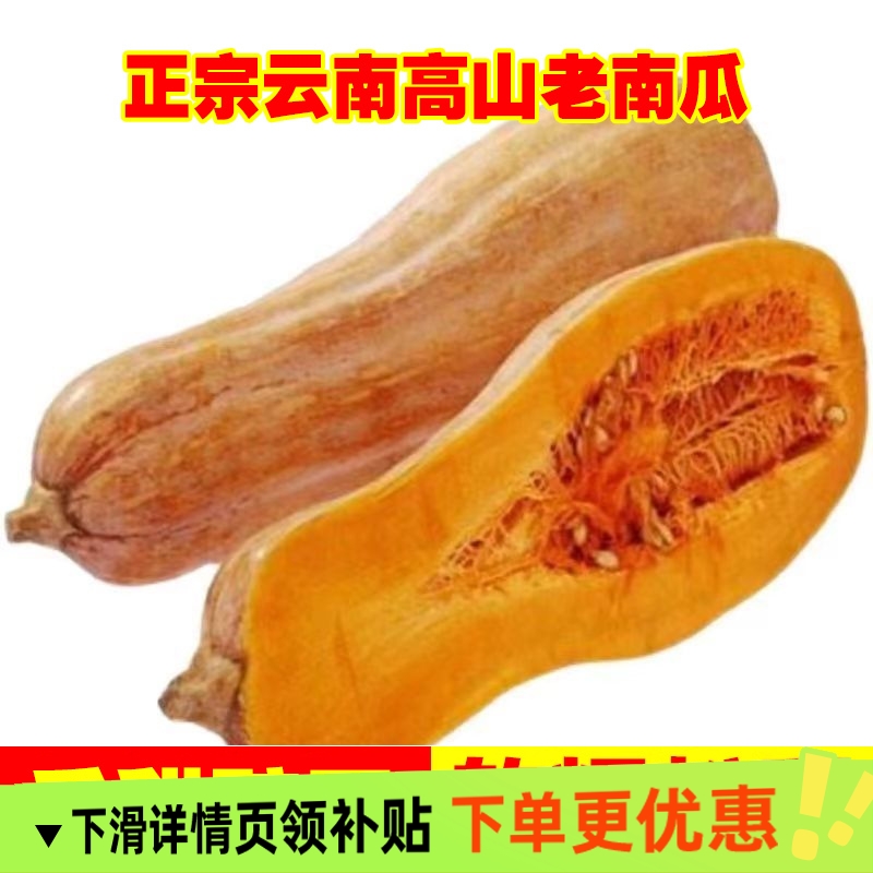 云南老品种南瓜农家自种板栗南瓜粉甜南瓜贝贝新鲜蔬菜宝宝辅食