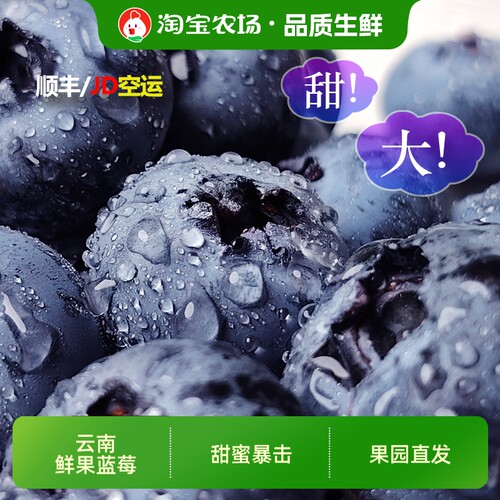 云南新鲜蓝莓应季新鲜高原水果