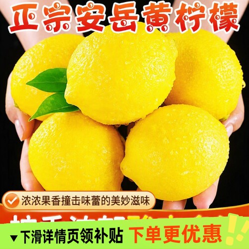 安岳柠檬新鲜现摘薄皮水果切片