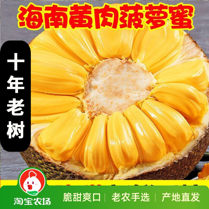 海南黄肉菠萝蜜一整箱干苞香甜新鲜采摘带箱水果直采包邮热带农场