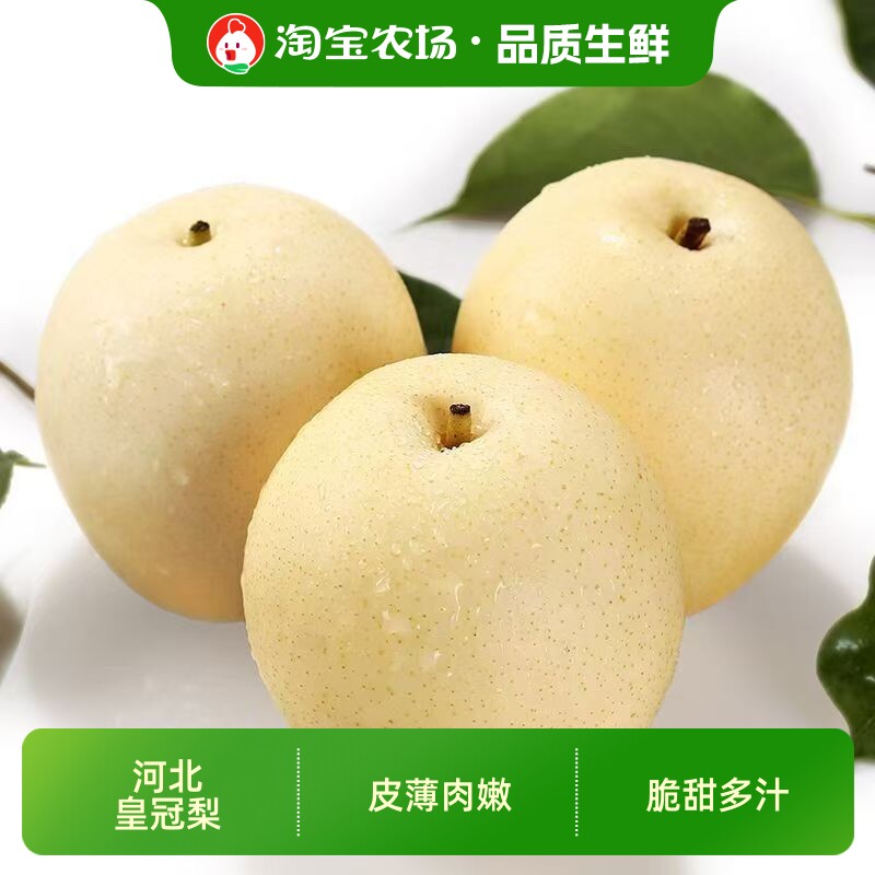 河北赵县皇冠梨新鲜现摘脆甜整箱5斤10斤当季水果产地直发农场图片