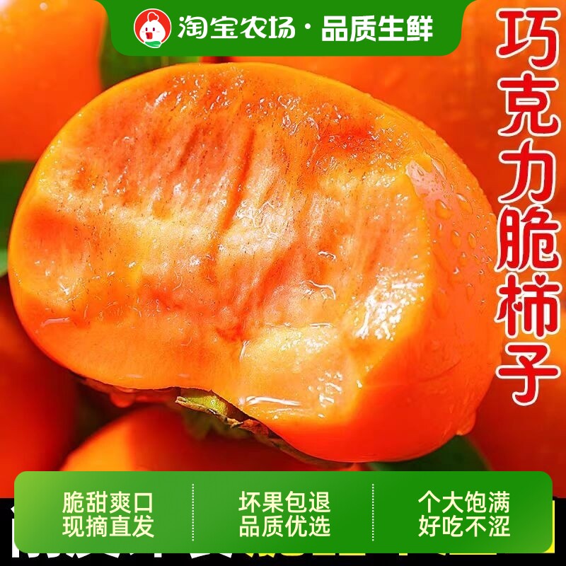 正宗巧克力脆柿子带箱5斤（单果100g+）