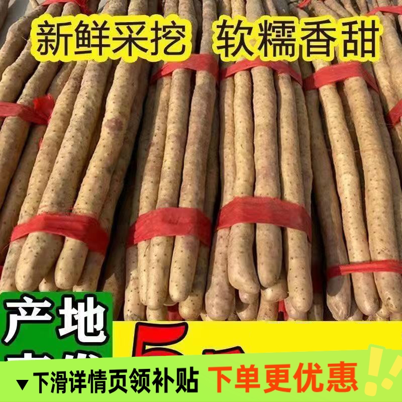 新鲜铁棍山药小白嘴山药铁杆淮山药新鲜山药轻微带土粉糯香甜直发