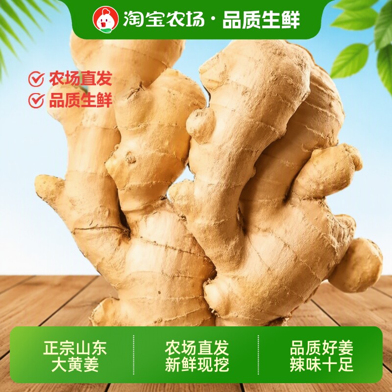 山东大黄姜生姜老姜蔬菜大姜优月子姜鲜姜新鲜农场正宗当季泡脚