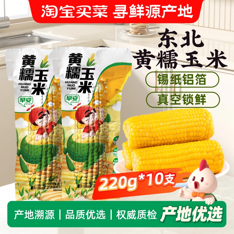 东北黄糯玉米当季新货低脂饱腹黄苞米现摘新鲜甜玉米粒非即食农家