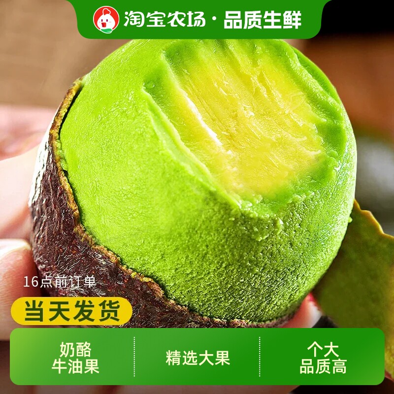 牛油果大果新鲜水果当季个云南整箱包邮即食一级鳄梨应季农场鲜果
