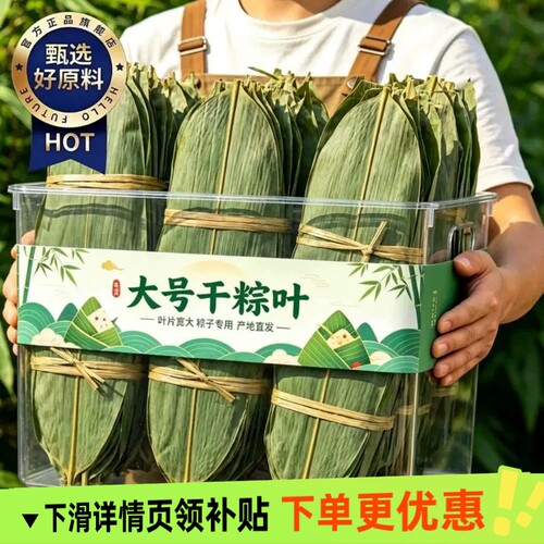 粽子叶粽叶干大号棕叶新鲜包粽子的竹叶子干粽叶商用箬叶批发材料