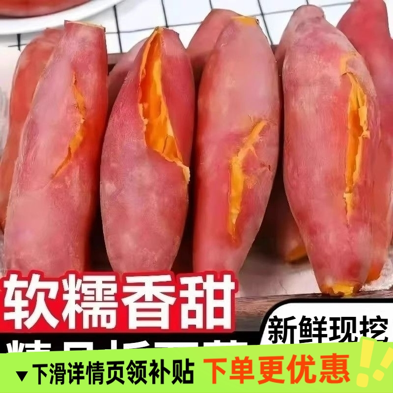 新鲜沙地蜜薯板栗红薯糖心地瓜番薯山芋农家自种现挖龙九黄心红薯
