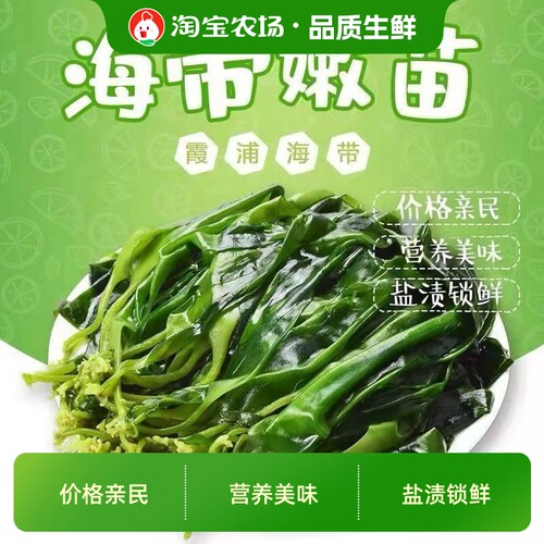 海带苗500g/袋火锅商用盐渍新鲜非干货嫩麻辣烫凉菜火锅食材