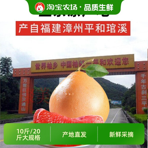 福建平和琯溪红心柚子红肉蜜柚新鲜水果当季孕妇水果包邮农场现摘