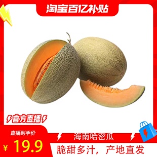 新鲜海南哈密瓜脆甜水果网纹蜜瓜香甜多汁当季 3枚 包邮 整箱4.5斤2