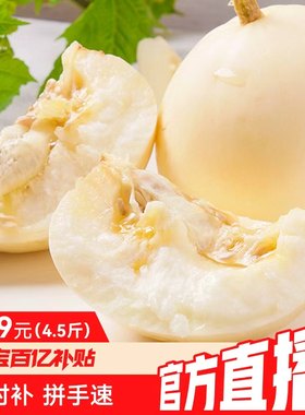陕西阎良甜瓜4.5斤时令新鲜水果儿时味道小籽种一藤一瓜包邮蜜瓜