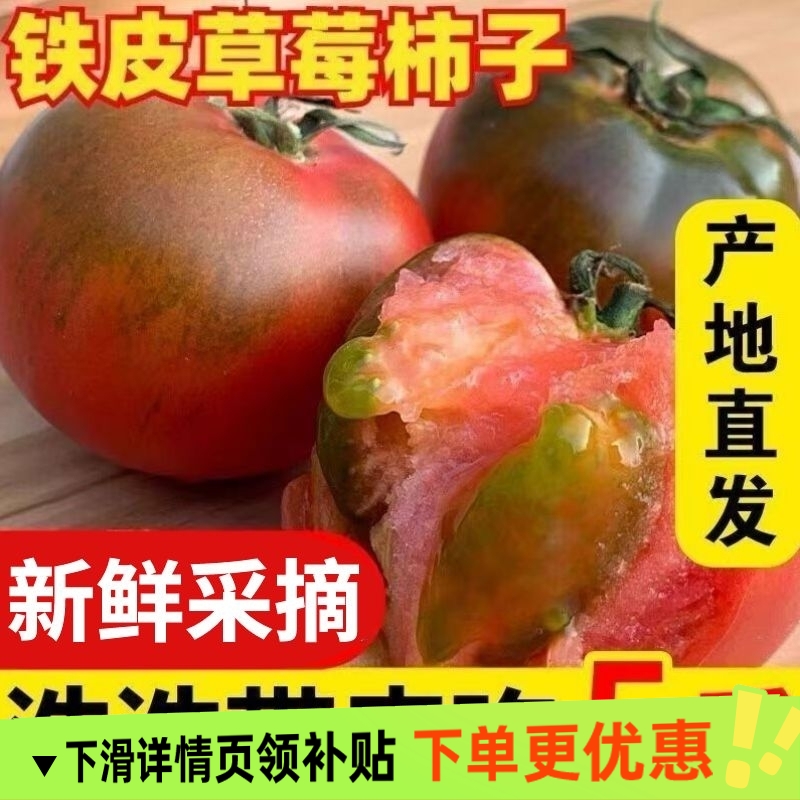 正宗铁皮草莓柿子新鲜当季西红柿生吃水果东北番茄酸甜口顺丰包邮
