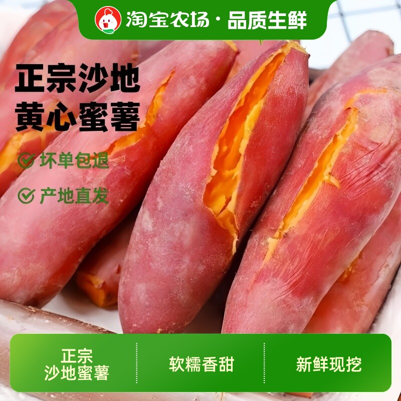 沙地蜜薯红薯新鲜番薯9斤装现挖糖心农家自种26年早餐农场发芽