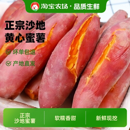 沙地蜜薯红薯新鲜番薯9斤装现挖糖心农家自种26年早餐农场发芽