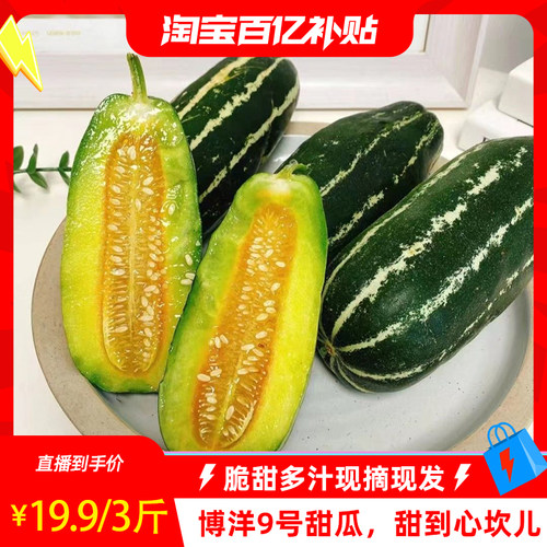博洋9号甜瓜脆甜多汁新鲜现摘蜜瓜农场直发九号西瓜
