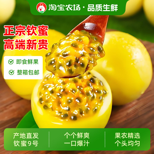 钦蜜9号黄金百香果新鲜蜂蜜味