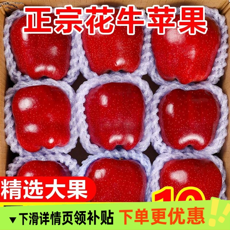 甘肃天水花牛苹果新鲜水果10斤新鲜当季红蛇粉面沙脆甜批发整箱