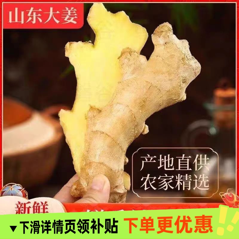 正宗山东水洗风干生姜大姜生姜老姜大黄姜农家种植姜块批发无硫姜