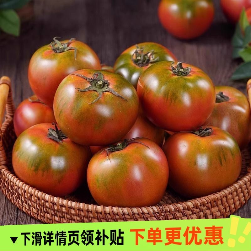 丹东草莓柿子番茄铁皮柿子绿腚新鲜生吃西红柿自然熟正宗东北包邮