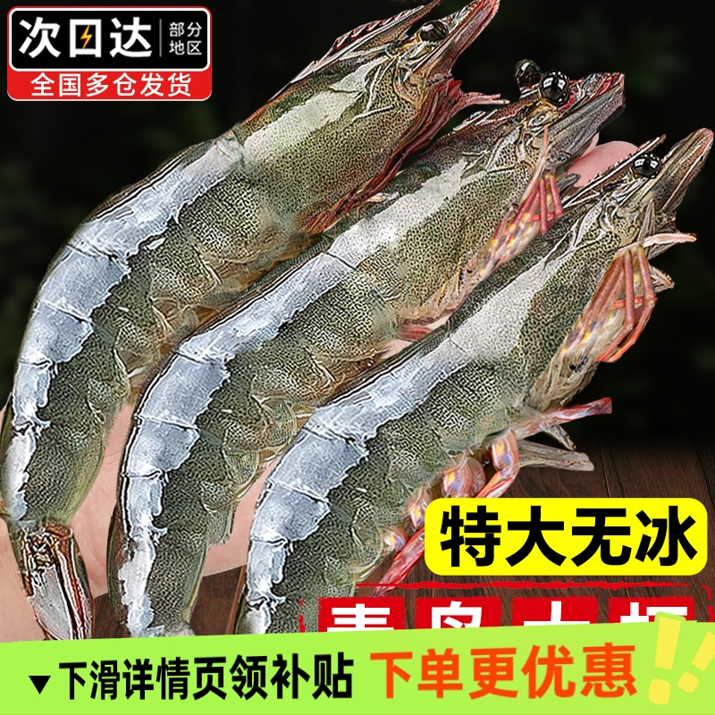 大虾鲜活超大基围虾特大青虾冷冻青岛鲜对虾速冻海虾虾类海鲜水产