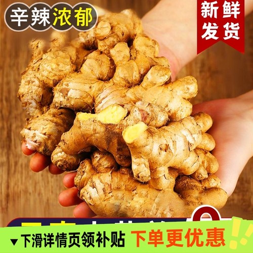 正宗云南新鲜当季小黄姜生姜干老姜嫩姜土姜子姜现挖高山沙姜去腥