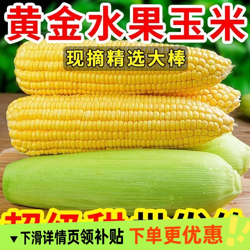 新鲜玉米现摘带皮甜玉米农家金银水果玉米棒子鲜嫩黄玉米9斤包邮