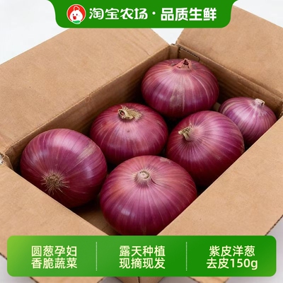 抢9斤紫皮洋葱新鲜产地自然种植