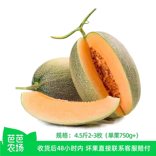 【芭芭农场】海南哈密瓜4.5斤2-3个装单果750g+
