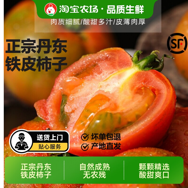 丹东草莓柿子西红柿新鲜自然熟铁皮柿子盘锦碱地生吃水果番茄顺丰