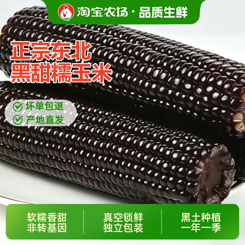 东北黑糯玉米新鲜加热即食非转基因黏糯玉米健身餐甜玉米真空早餐