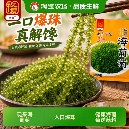 新鲜盐渍儿童海葡萄凉拌绿色鱼子酱即食泡发火锅寿司食材官方旗舰