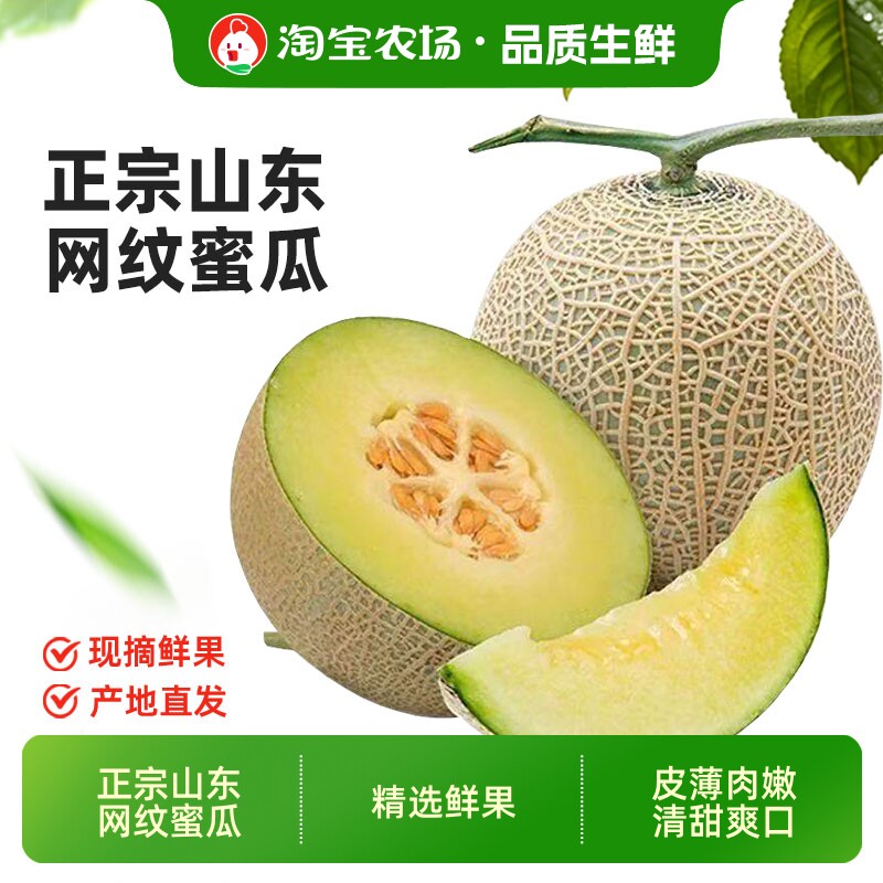 网纹蜜瓜 山东特产正宗玫珑冰淇淋蜜瓜当季新鲜水果整箱包邮