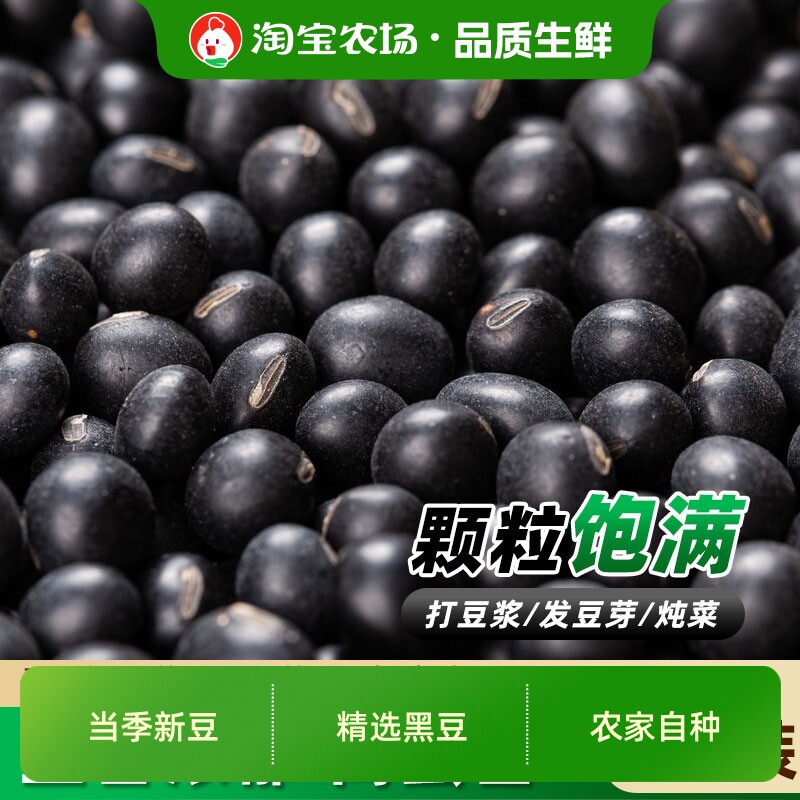 三彩侬优质黄芯黑豆农家自产东北1/2/5斤新货黑皮杂粮豆子打豆浆