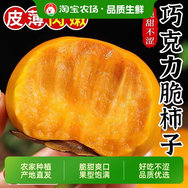 正宗新鲜脆柿子巧克力脆甜柿子冰糖心甜柿子当季包邮大果农场保存
