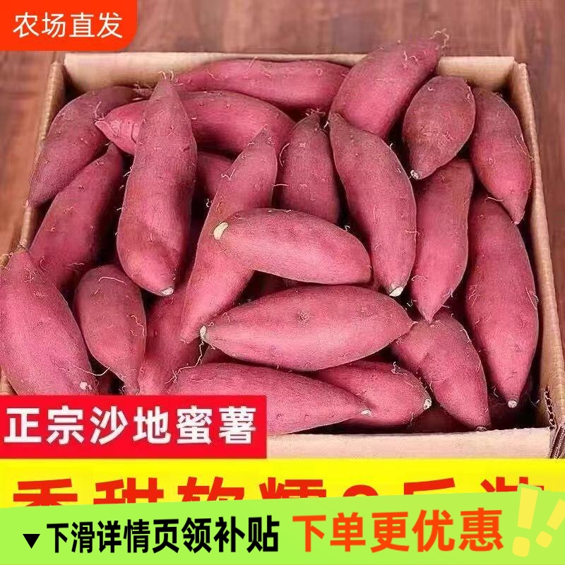 沙地龙九蜜薯红薯新鲜9斤番薯农家现发烤地瓜山芋紫薯自种黄心