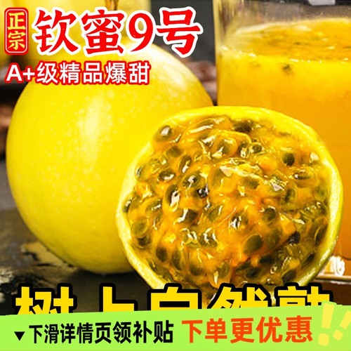钦蜜9号黄金百香果新鲜1/3/5斤大果b包邮整箱应季百香果黄金果
