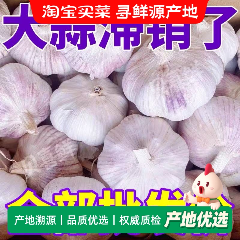 农家新鲜大蒜新干蒜5斤大蒜头金乡紫白皮大蒜种子当季蔬菜批发