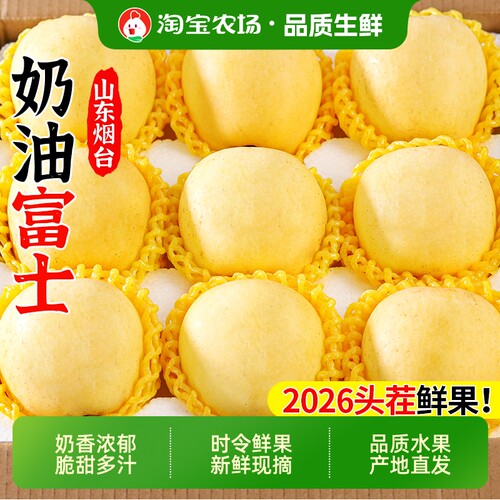 山东烟台黄金奶油富士苹果新鲜当季正宗苹果现摘2025新果脆甜