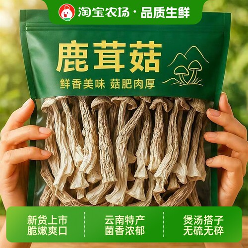 新货鹿茸菇干货500g包邮鹿茸菌新鲜云南土特产煲汤食材香菇菌菇