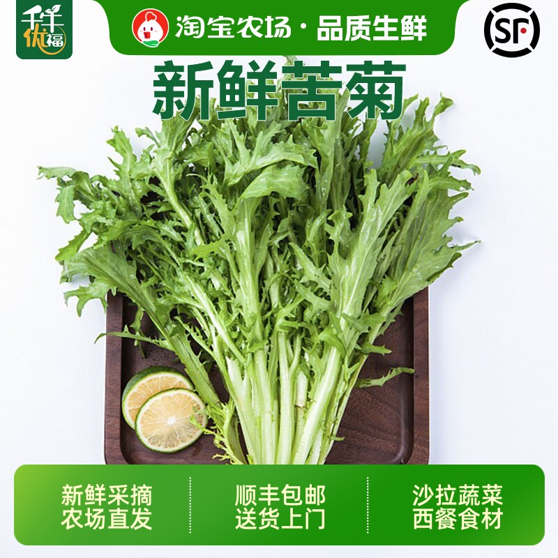 千牛优福生菜250g-1500g新鲜蔬菜苦菊苦细叶沙拉狗牙菜苦苣食用
