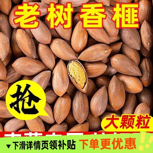 新货香榧诸暨特产坚果易剥嵊州香榧子大颗粒250g含罐休闲零食散装