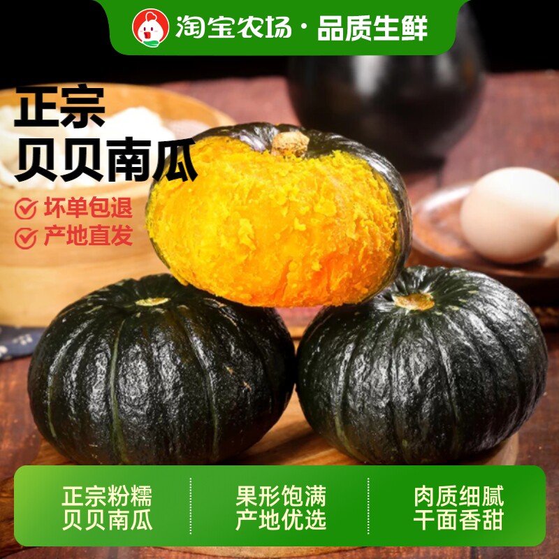 正宗板栗味贝贝小南瓜新鲜现摘宝宝辅食孕妇黄金粗粮产地直发农场